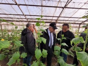 الاتحاد العام لمنتجي ومصدري الحاصلات البستانية يتابع الصوب الزراعية