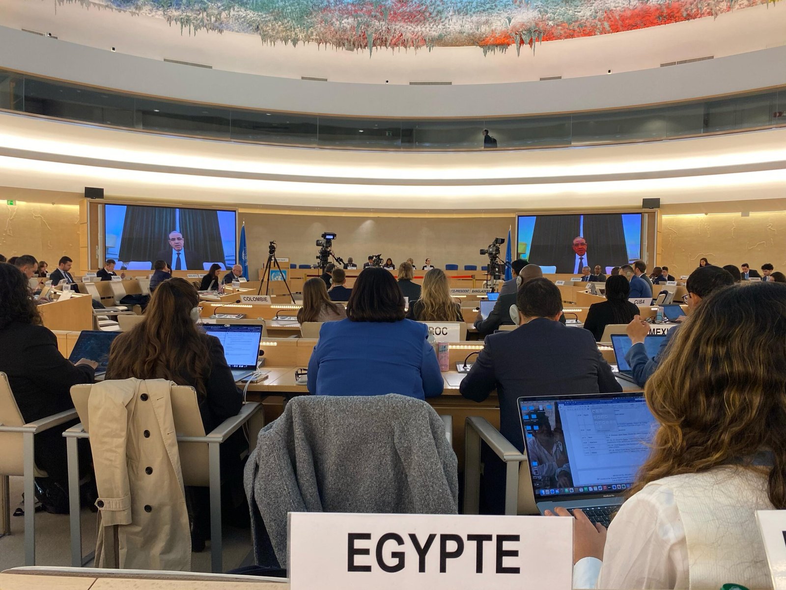 وزير الخارجية يُلقي بيان مصر لمجلس حقوق الإنسان