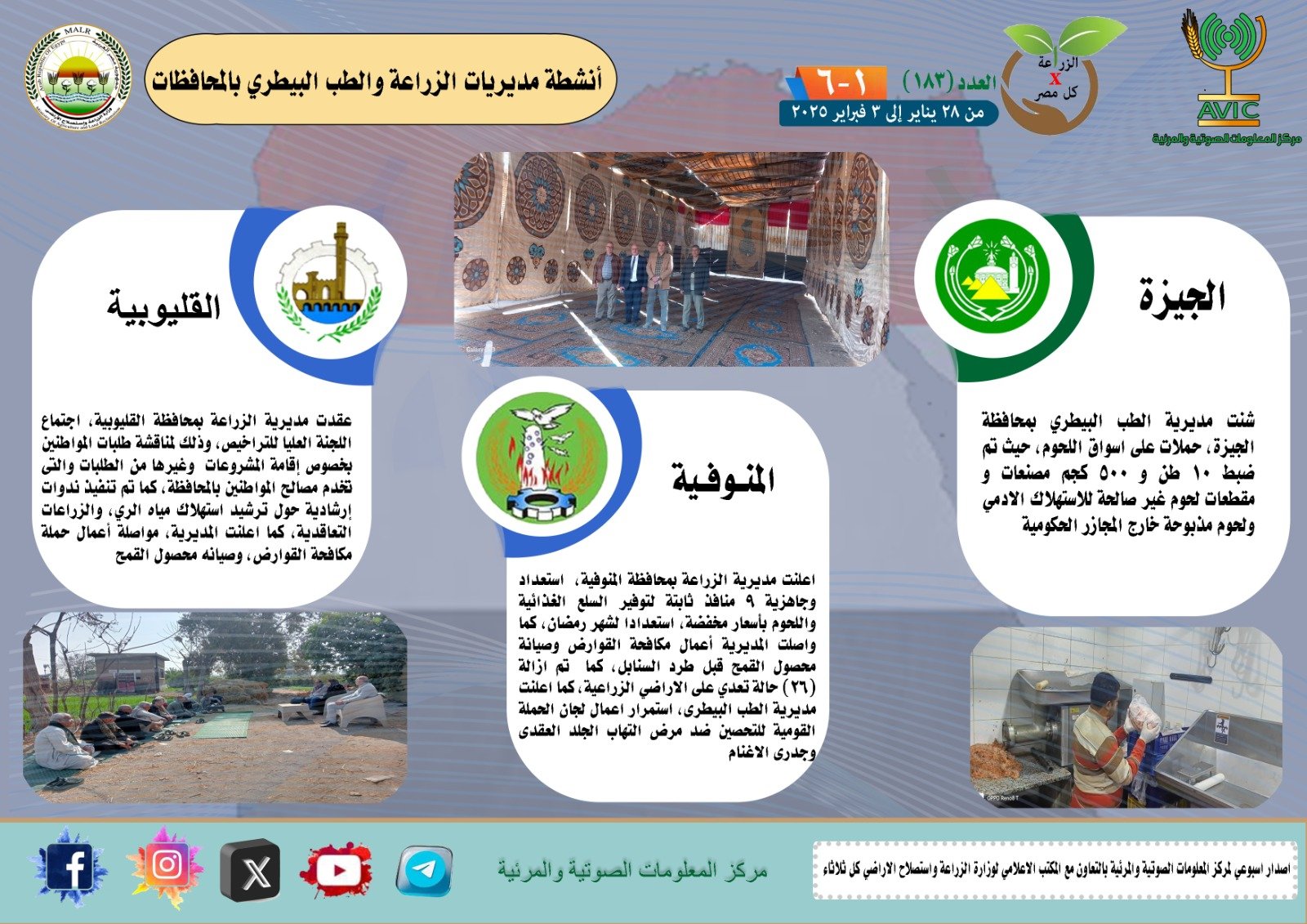 بالانفوجراف "الزراعة في كل مصر"