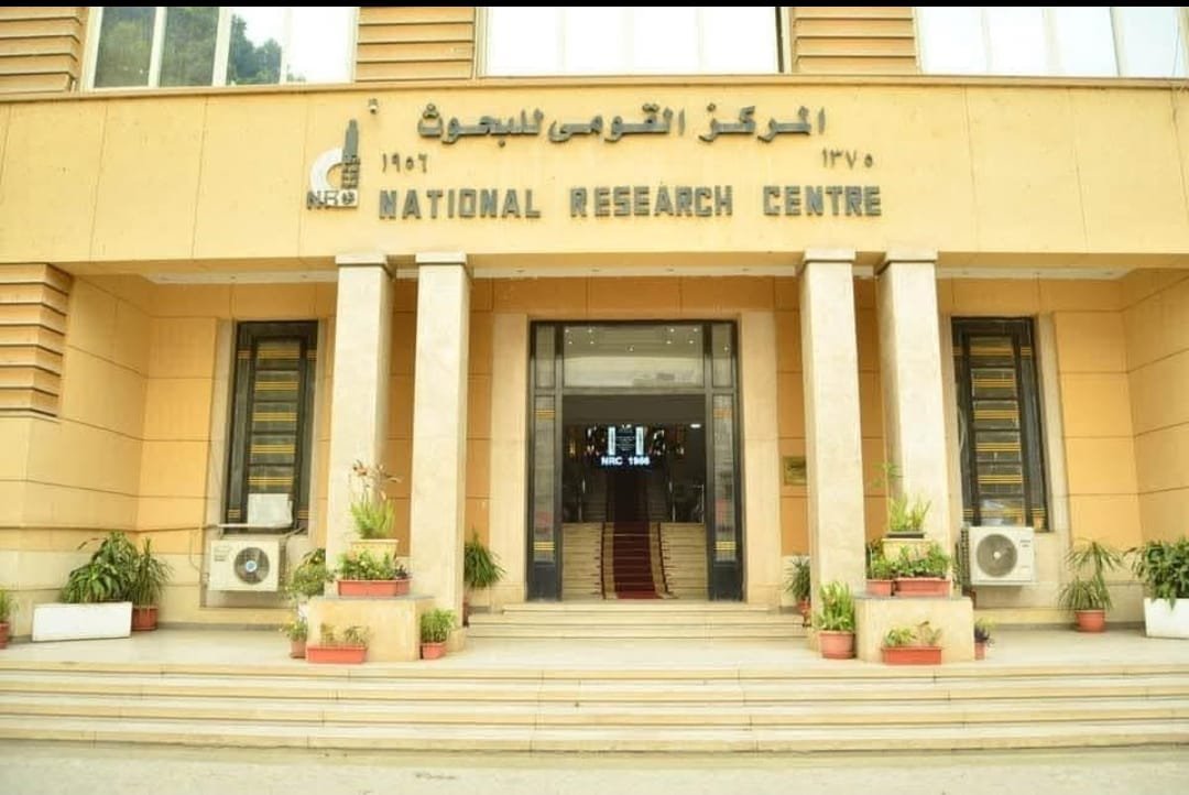 التعليم العالي: دعم الابتكار في الصناعات النسيجية لتعزيز التصنيع المحلي