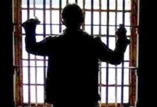 تفاصيل القضية في محكمة جنايات القاهرة