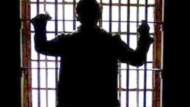 تفاصيل القضية في محكمة جنايات القاهرة