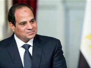 الرئيس عبد الفتاح السيسي: تعاون مصري–يوناني في قطاع الكهرباء