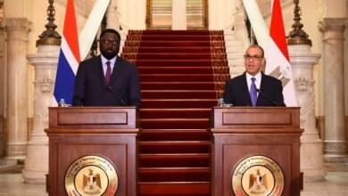 وزير الخارجية: مصر مهتمة بتحقيق الأمن في منطقة الساحل وغرب أفريقي