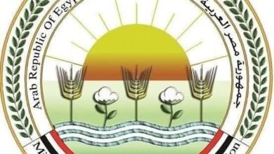 الزراعة" تنفي بيع المبنى القديم للوزارة لمستثمر خليجي