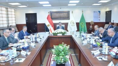 فاروق يؤكد على الدور الاستراتيجي للشركة القابضة للصوامع والتخزين 