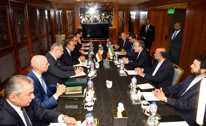 مشاورات سياسية بين وزيري خارجية مصر وإيران بالقاهرة