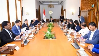 وزير الخارجية يؤكد موقف مصر الداعم لتحقيق التهدئة بين الهند وباكستان