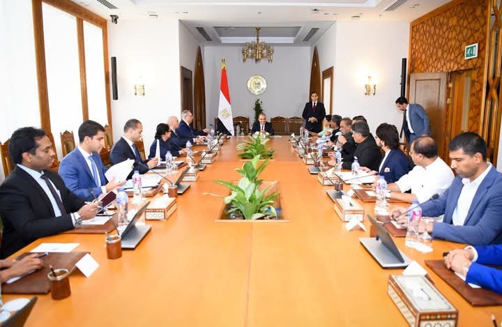 وزير الخارجية يؤكد موقف مصر الداعم لتحقيق التهدئة بين الهند وباكستان
