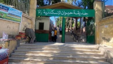 الزراعة": حدائق الحيوان الإقليمية والأسماك بالزمالك استقبلت أكثر من 38 ألف زائر 
