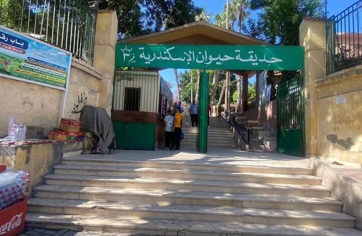 الزراعة": حدائق الحيوان الإقليمية والأسماك بالزمالك استقبلت أكثر من 38 ألف زائر