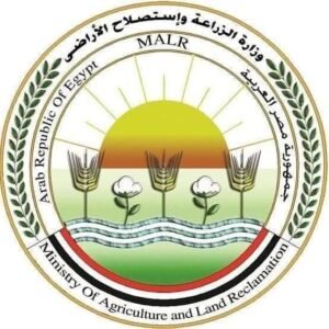 الزراعة: محافظة البحر الأحمر تتصدر القائمة تليها الجيزة والشرقية وأسوان