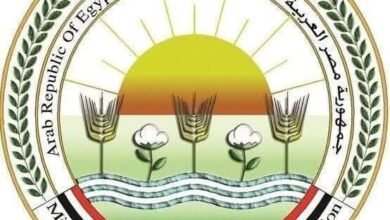 الزراعة: محافظة البحر الأحمر تتصدر القائمة تليها الجيزة والشرقية وأسوان