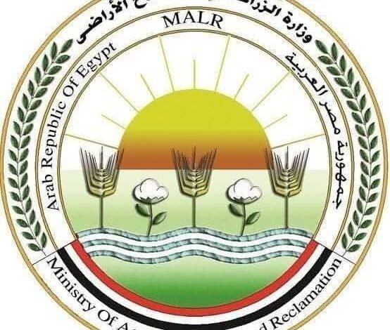 الزراعة: محافظة البحر الأحمر تتصدر القائمة تليها الجيزة والشرقية وأسوان