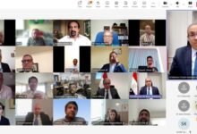 وزير الخارجية يشارك في اللقاء الافتراضى مع الجالية المصرية في المملكة المتحدة