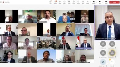 وزير الخارجية يشارك في اللقاء الافتراضى مع الجالية المصرية في المملكة المتحدة