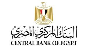 البنك المركزي يصدر قواعد ترخيص وتسجيل مشغلي نظم الدفع 