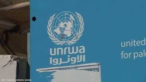 الأونروا تؤكد المعاناة يومية لسكان غزة في البحث عن المساعدات الإنسانية