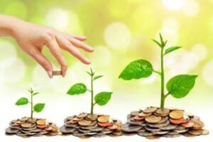 التمويل متناهى الصغر أداة لدعم محدودي الدخل وتعزيز الاقتصاد