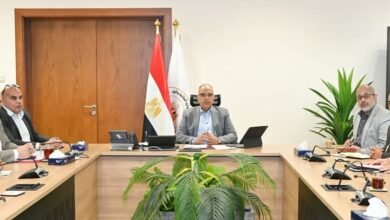 وزير الري يتابع مشروعات حماية الشواطئ  على ساحل البحر المتوسط 