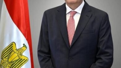 الزراعة" تعلن ارتفاع الصادرات الزراعية المصرية إلى 5.8 مليون طن حتى الآن