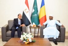 وزير الخارجية يتوقف في العاصمة نجامينا ويلتقي بوزير خارجية التشاد