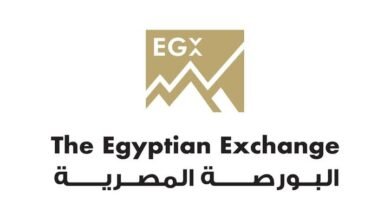 البورصة المصرية تطلق مؤشر جديد للأسهم منخفضة التقلبات السعرية 