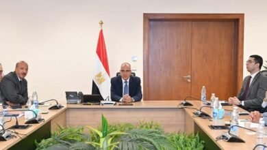 وزير الري: مصر حريصة على تعزيز التعاون الاقتصادي مع دول حوض النيل