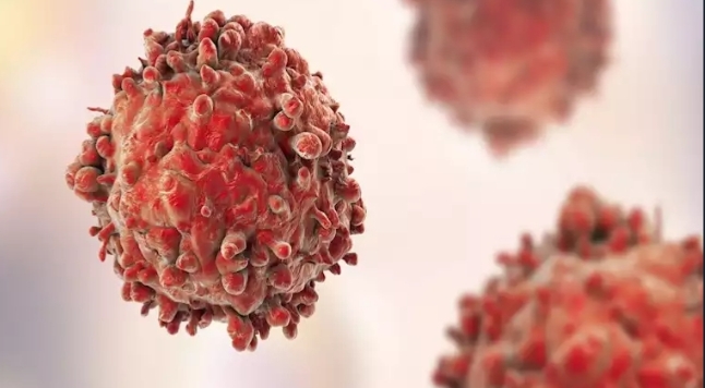 الخلايا السرطانية