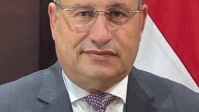 الدكتور عبدالعزيز قنصوة وزير التعليم العالي