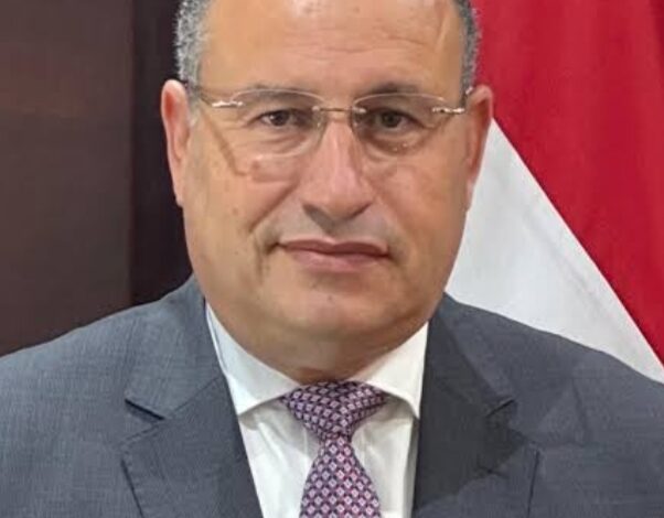 الدكتور عبدالعزيز قنصوة وزير التعليم العالي