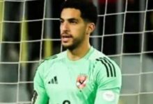 مصطفى شوبير
