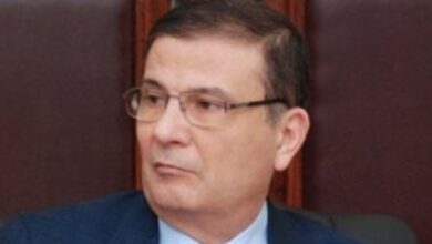 علاء فاروق وزير الزراعة