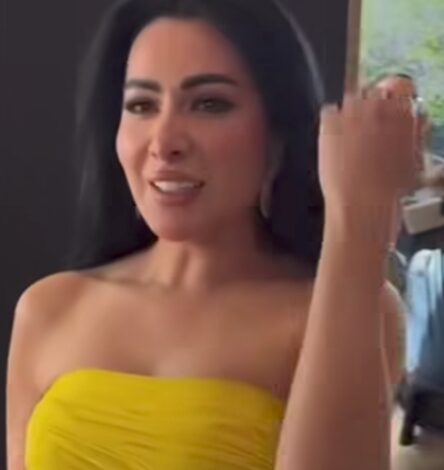 ميريهان حسين