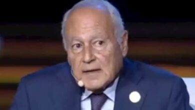 أحمد أبو الغيط