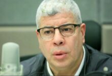 أحمد شوبير