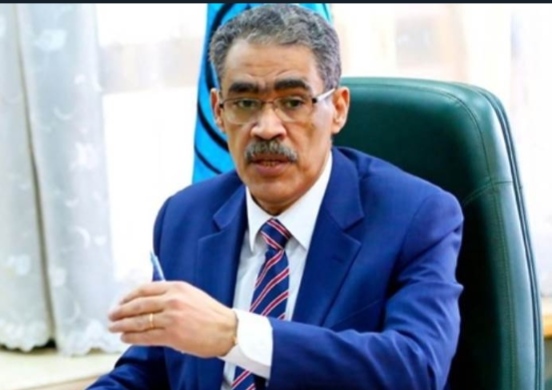 ضياء رشوان
