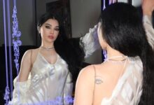 هيفاء وهبي