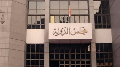 مجلس الدولة
