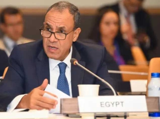 الدكتور بد عبد العاطي وزير الخارجية