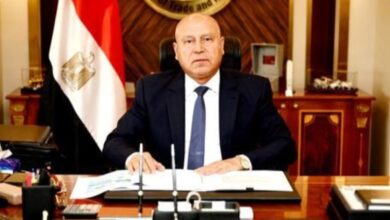 كامل الوزير